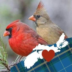 Meet your Posher, Katheryn